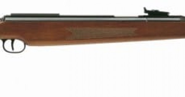 Diana Model 52, Spring Air Rifle Reviews