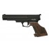 Gamo Compact .177 